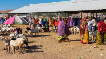 Takaba Usafi: Erratic Rain, Constant Progress